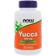 NOW Foods Yucca Juka 500mg 