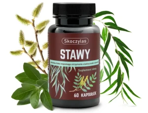Skoczylas Stawy Ashwagandha Sosna Bor Mangan