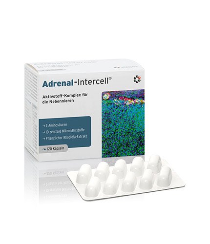 -50% Mito Pharma Adrenal-Intercell b-kompleks  L-tyrozyna Fenyloalanina Niacyna Cynk