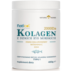 Alto pharma NATURALNY KOLAGEN Rybi Wild Marine Colagen Kwas Hialuronowy MSM Wit. C w Proszku 400g