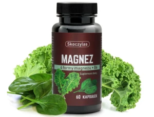 -50% Skoczylas Magnez 4 formy - szpinak, jarmuż B6 (1)    ważność 30.11.2026 wyprzedaż ważność 30.11.2026 wyprzedaż